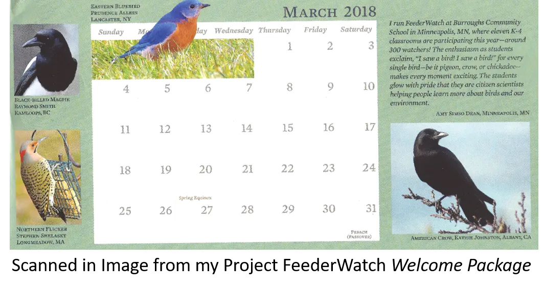 project feederwatch march 2018.png