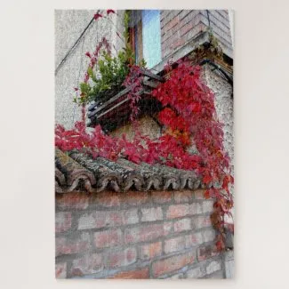 Red Running Plant And The Window Jigsaw Puzzle