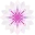 astrantia (1).png