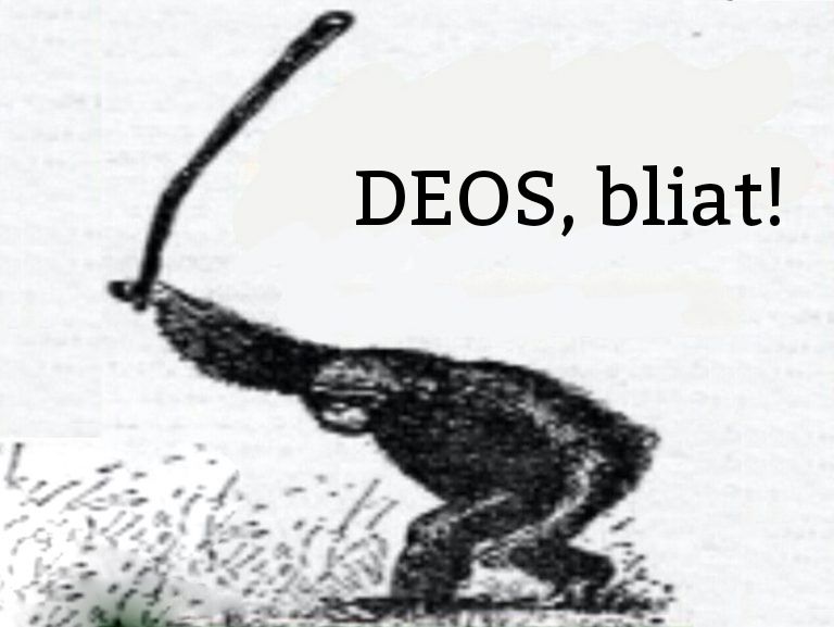 1529641608755.jpg