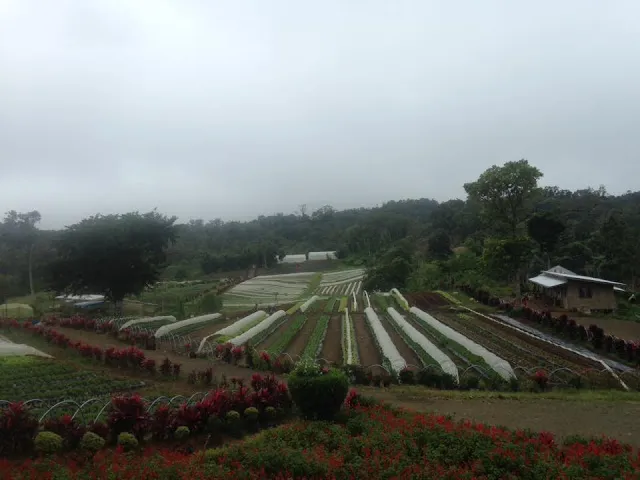 Bemwa_Farm_05.jpg