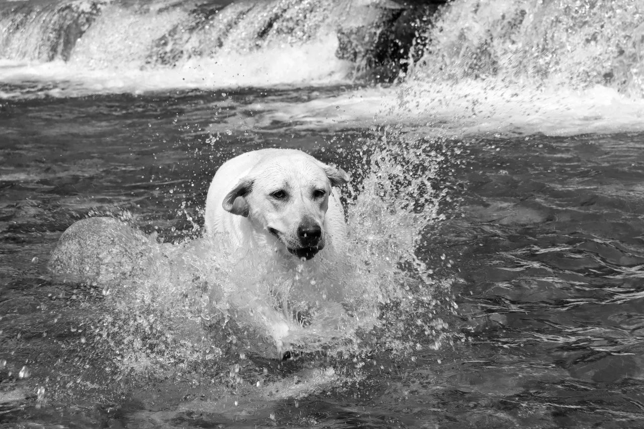 mono_IMG_0758.JPG