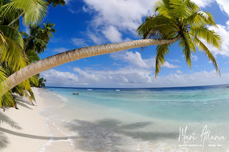 _DSC7286_DxO copie.jpg
