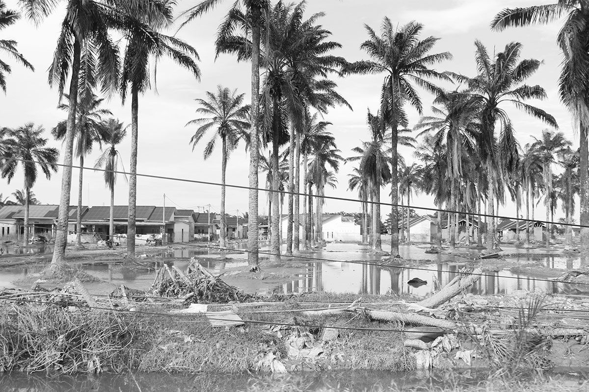 MONOMAD: Natural Destruction in Black and White