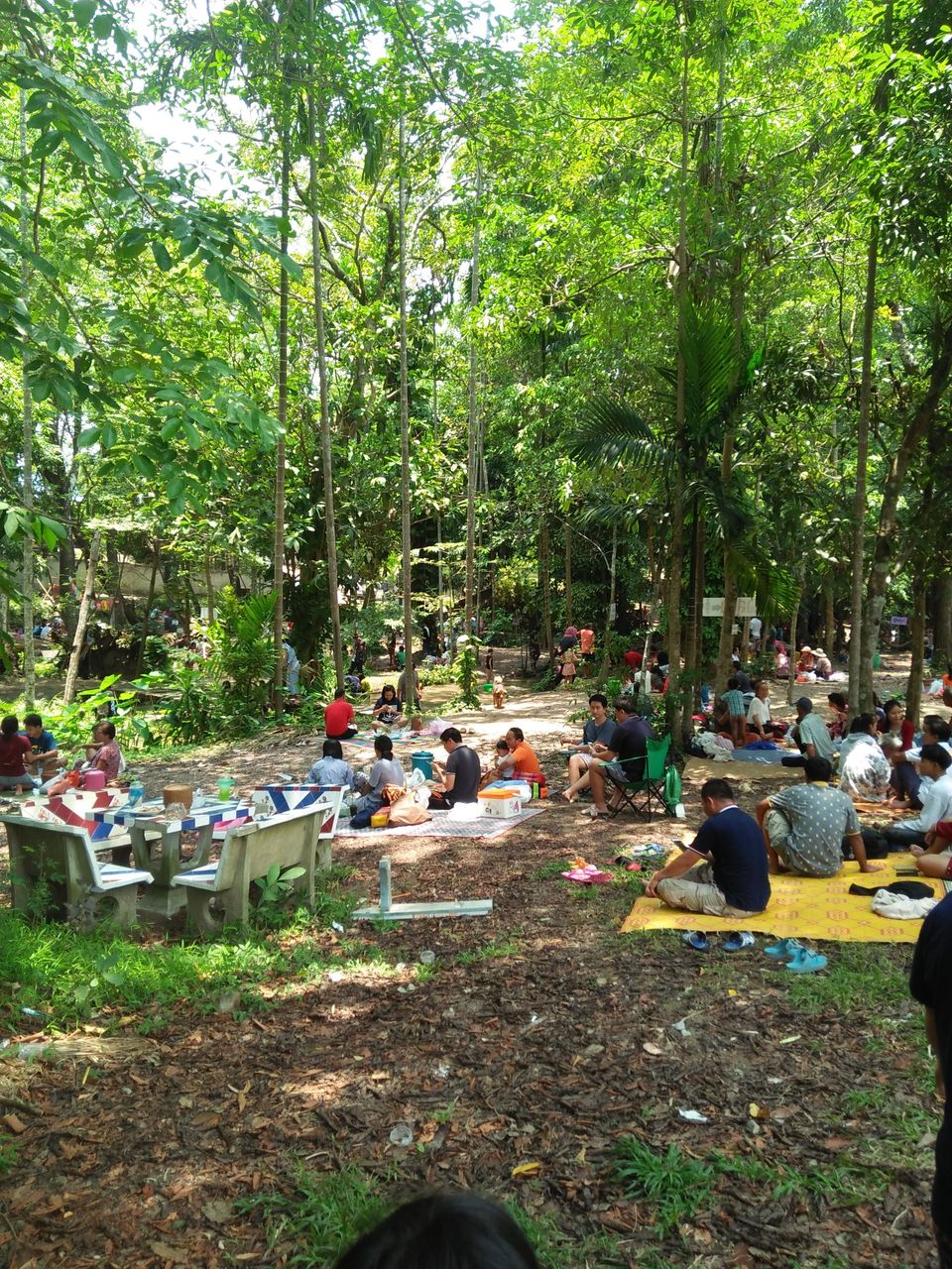 IMG20180422121239.jpg