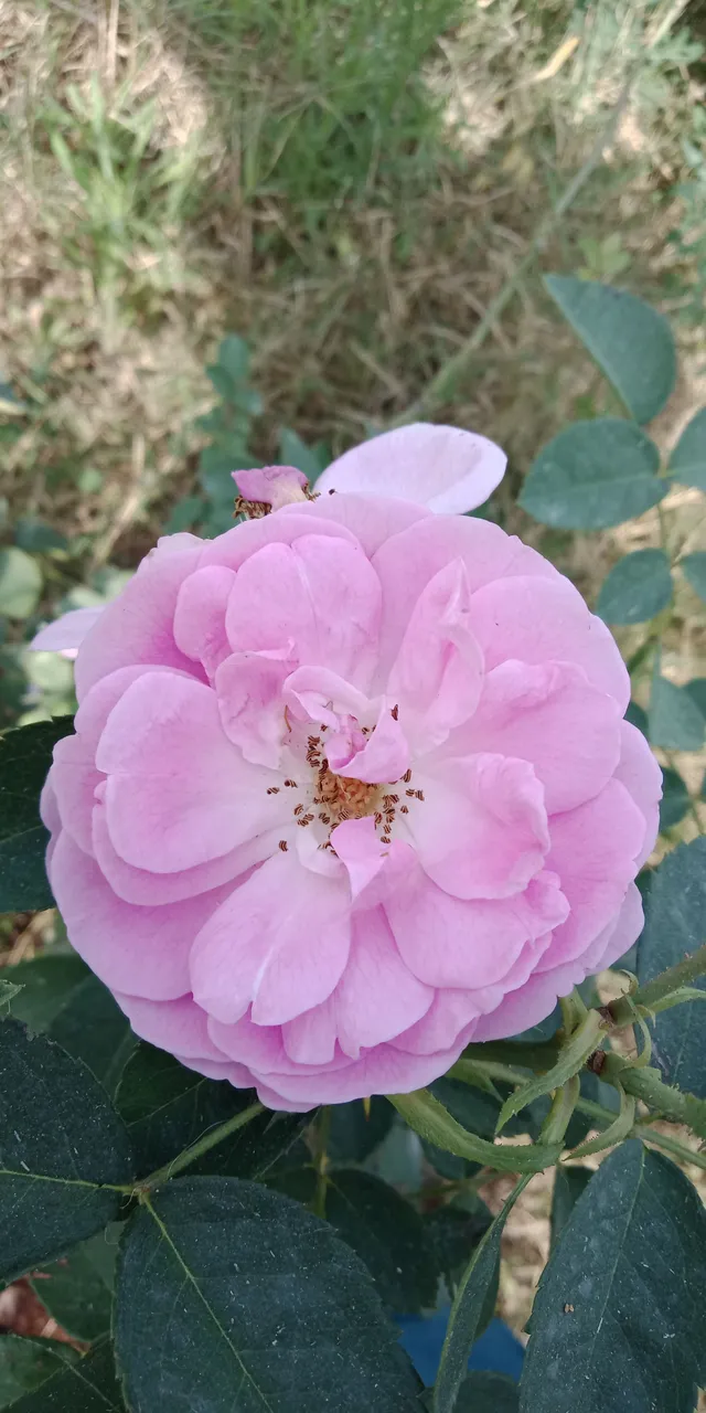 IMG20180428094859.jpg