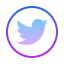 icons8-twitter-64.png
