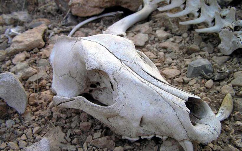 dolina_smerti_003.jpg