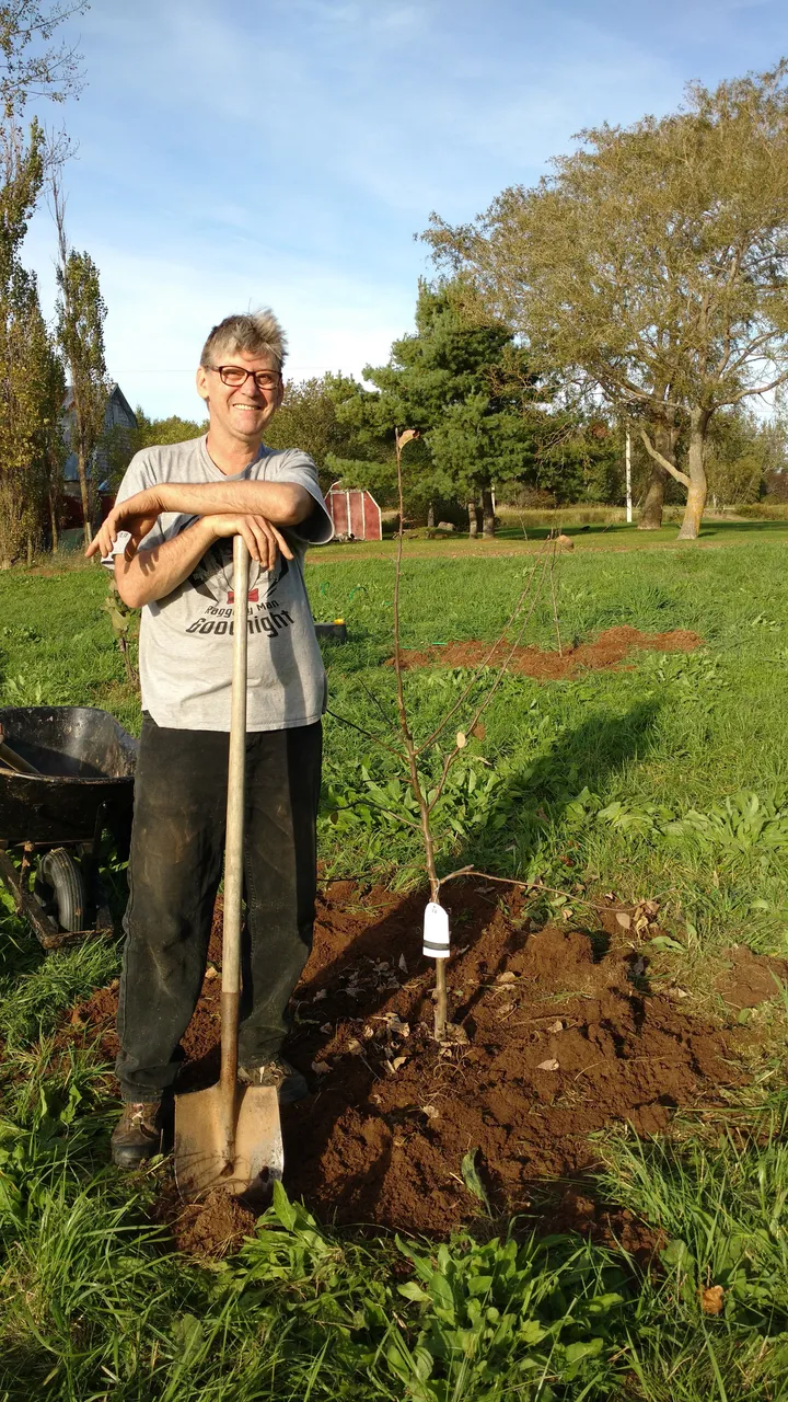 appletreeplanting.jpg