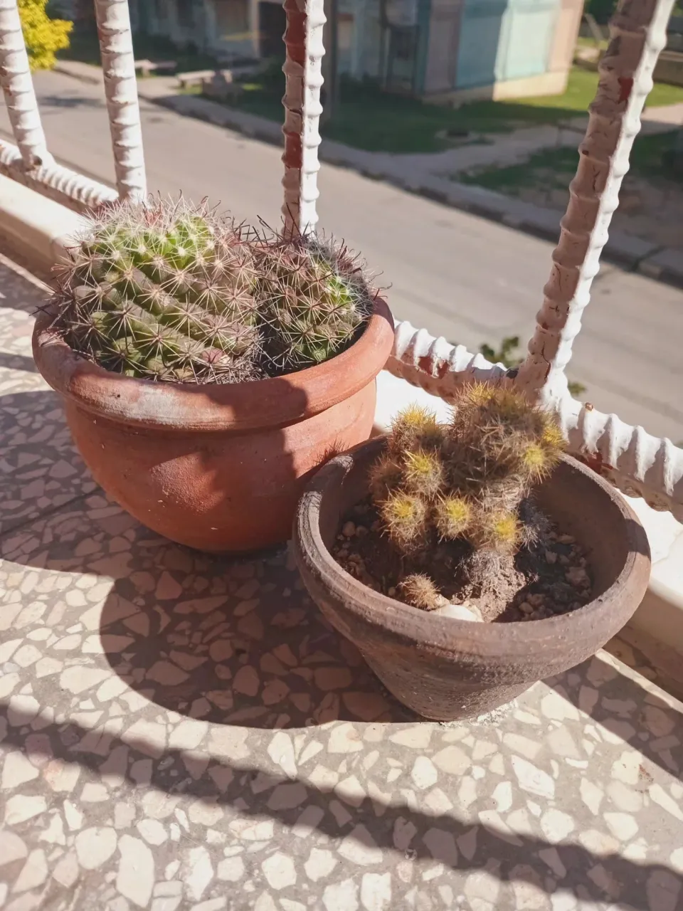 bjRTjZtsEDmwbG6H_1000320626.webp