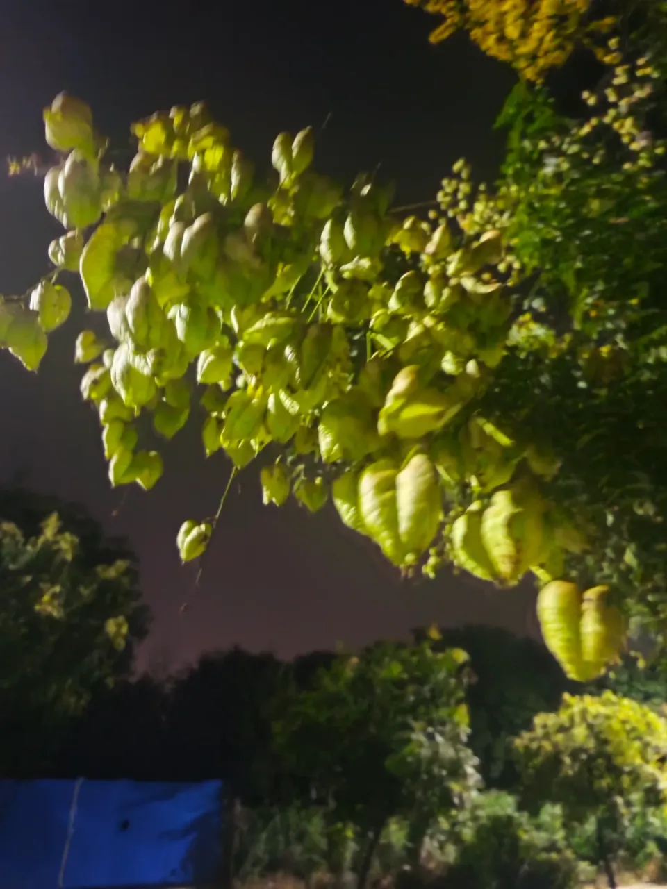 6Ax0HKu4aBz1DdVF_1000121448.webp