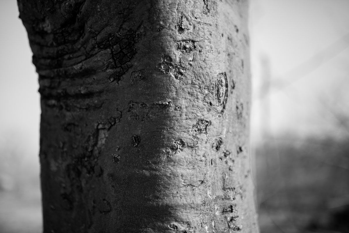 Textura_by_Victor_Bezrukov-1.JPG