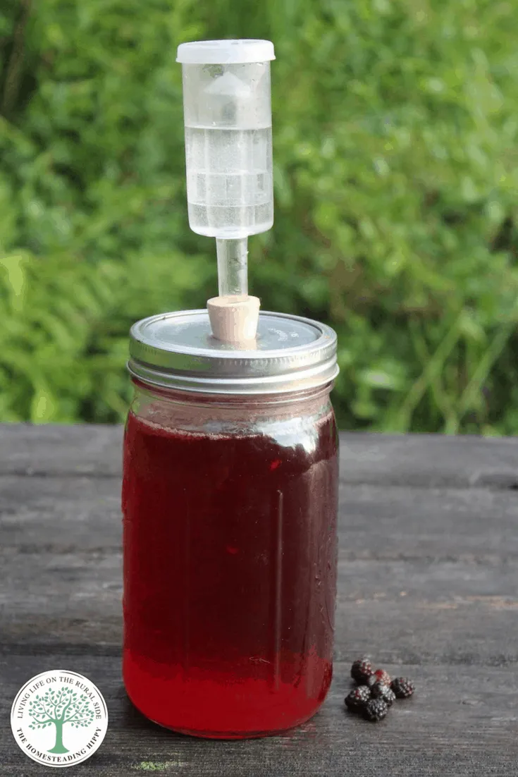 Black Raspberry Wine is easy to make at home, and doesn't require a lot of special equipment. Learn how to make your own today!Â