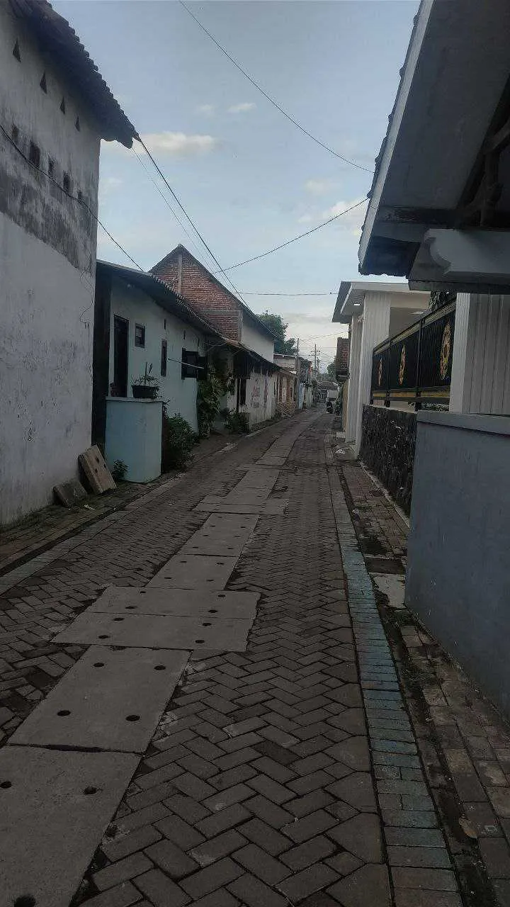 alt