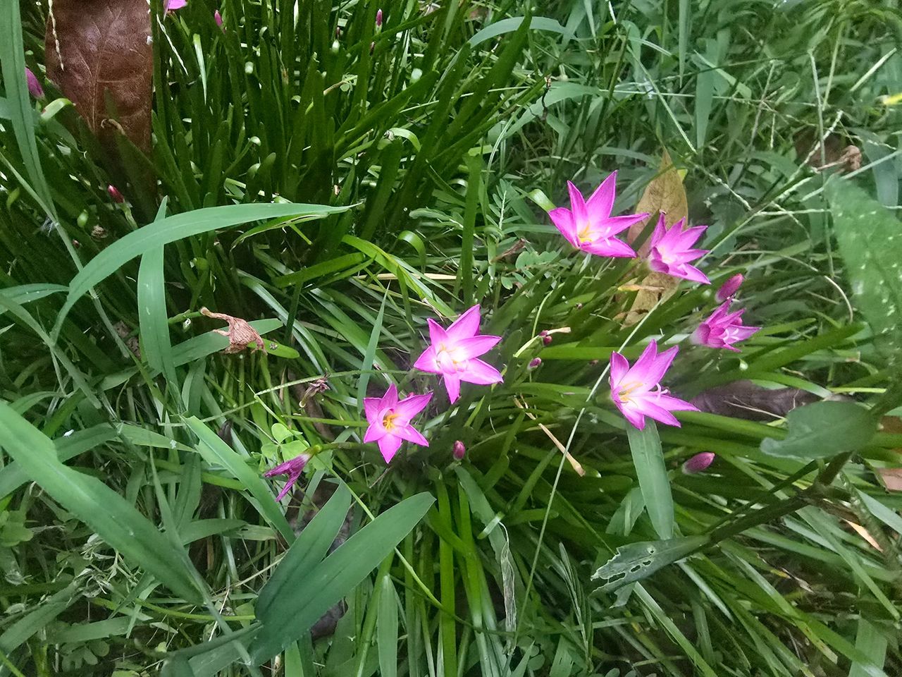 20250812_182222.jpg