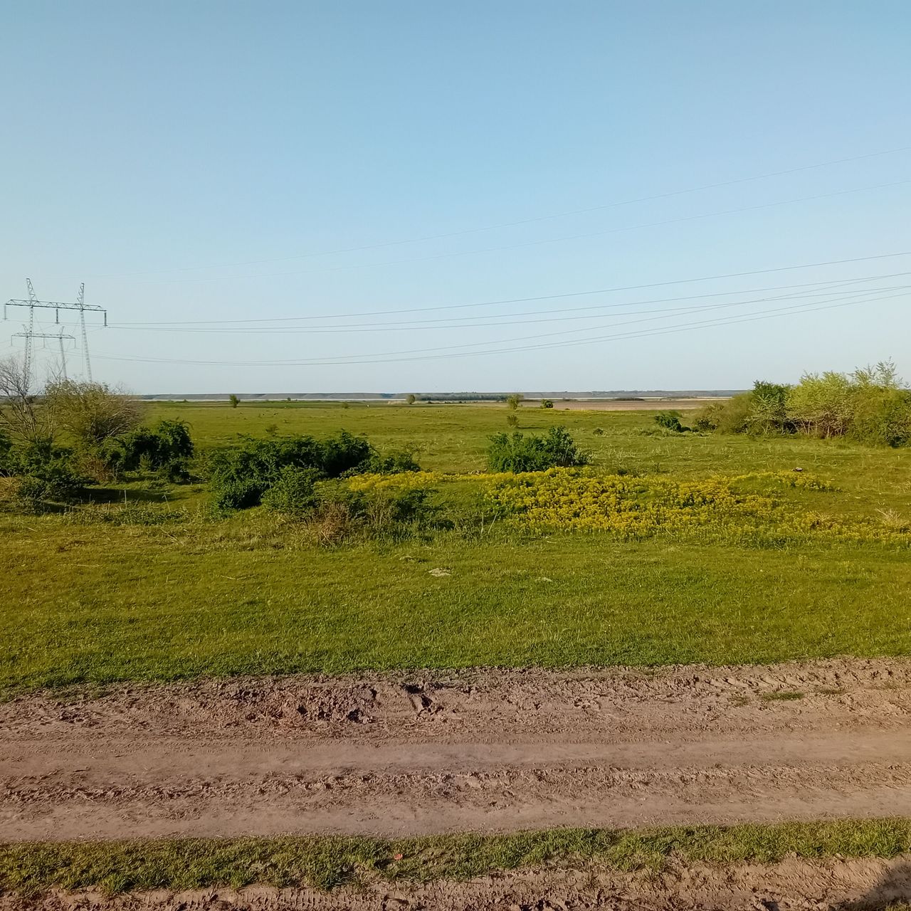 20260412_173602.jpg