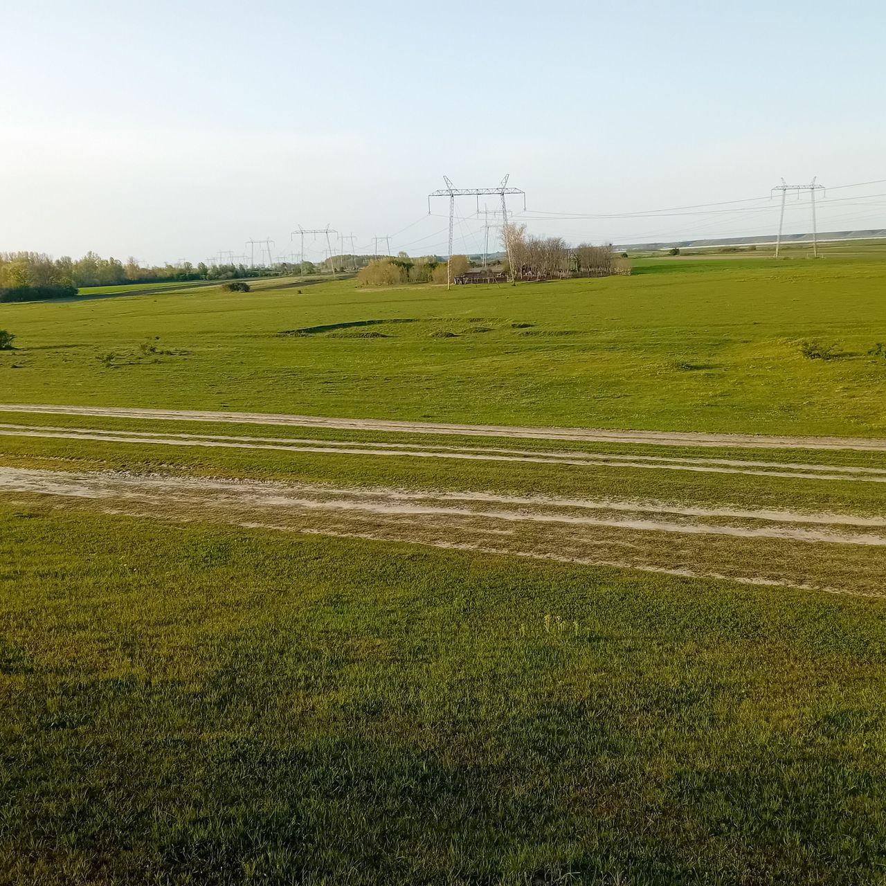 20260412_180145.jpg