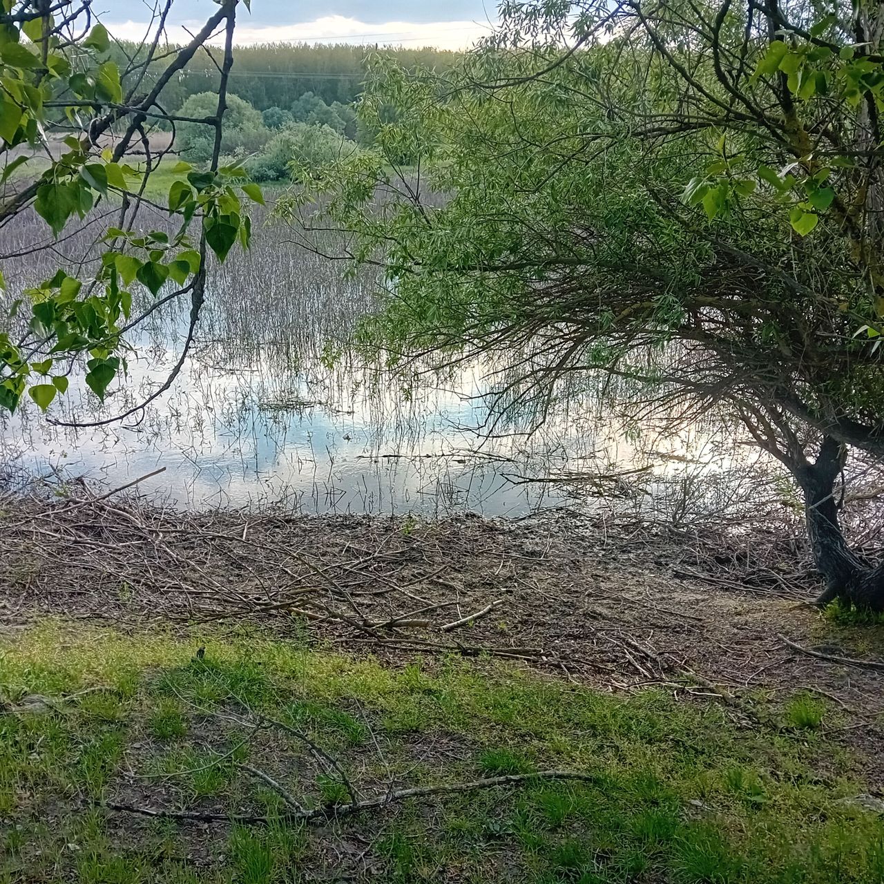 20260422_172814.jpg