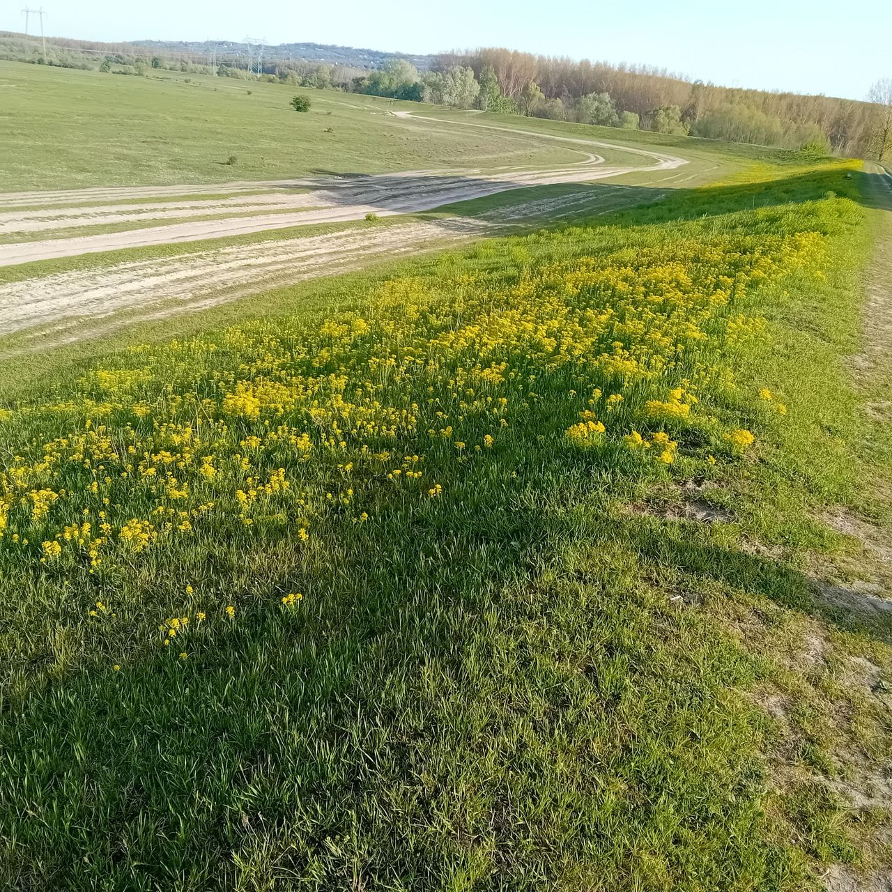 20260412_171438.jpg