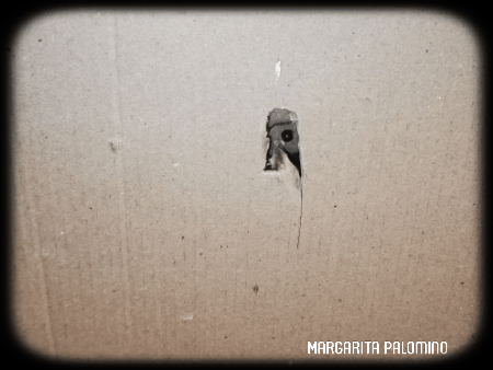 videotogif_2021.08.06_18.09.56.gif