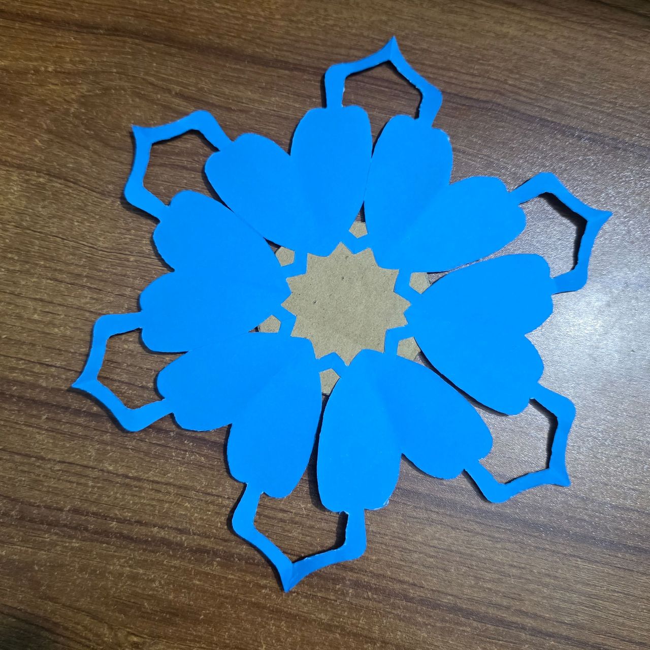 1000040075.jpg