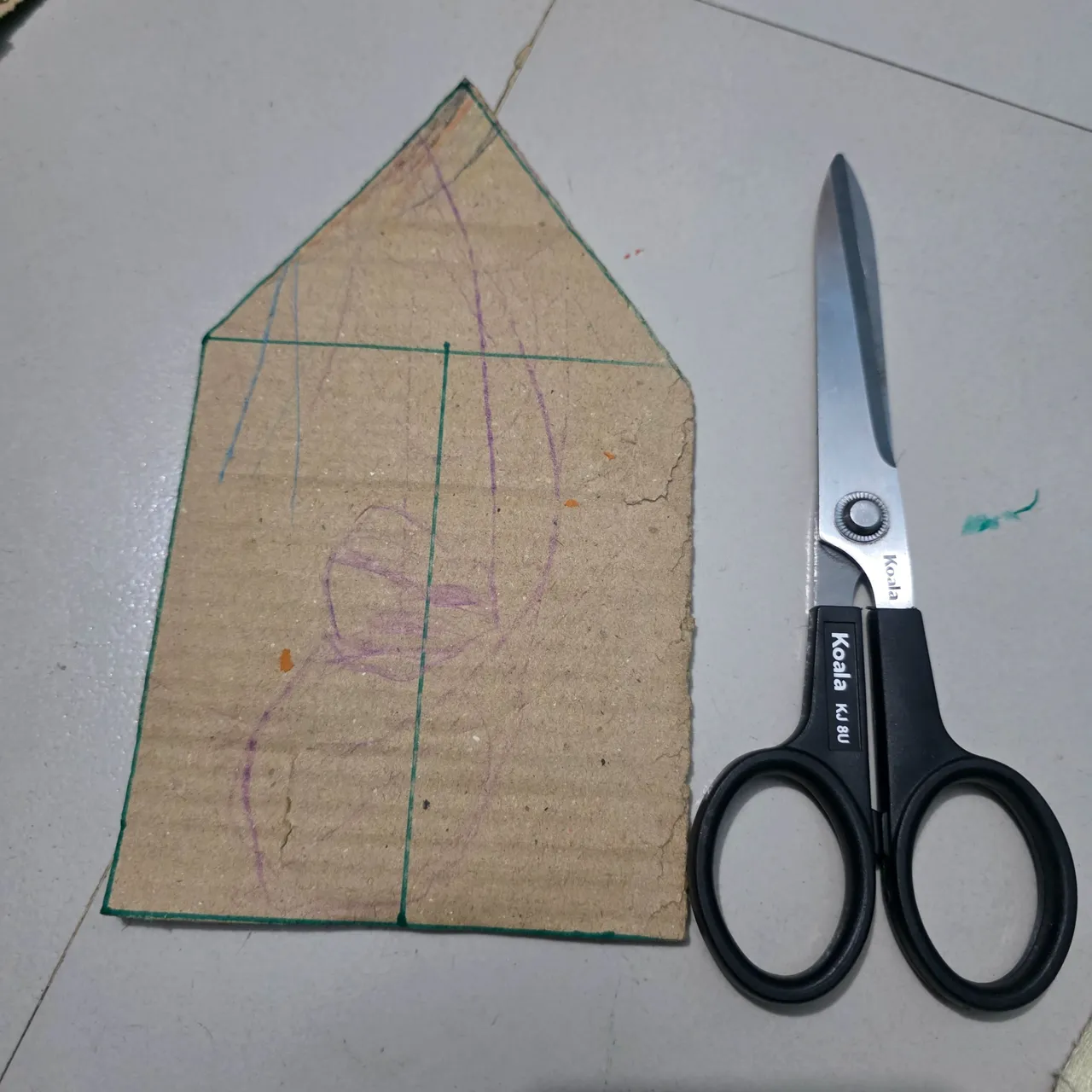 1000014251.jpg