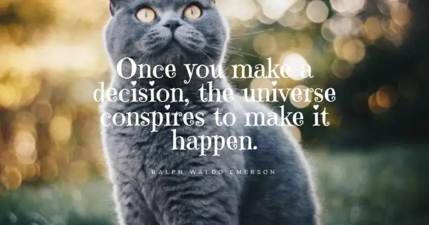 life choices quotes