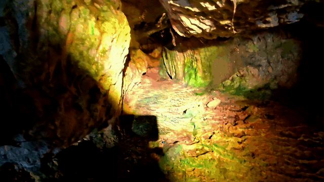 7.gif