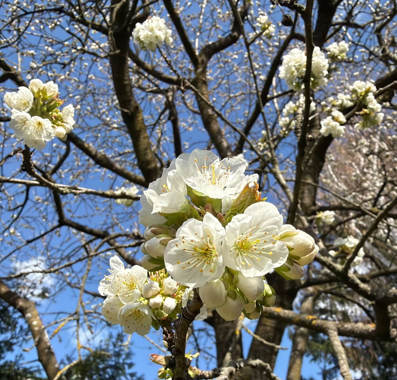 Frühlingsbeginn in Bildern