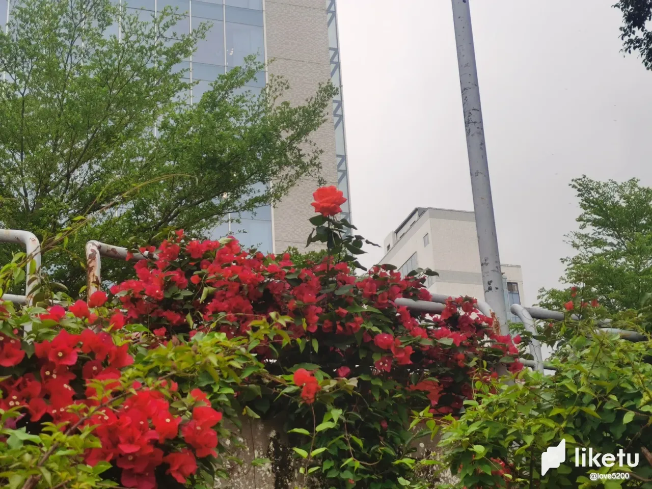 fC8O5RuJjiCTH1SX_3.webp