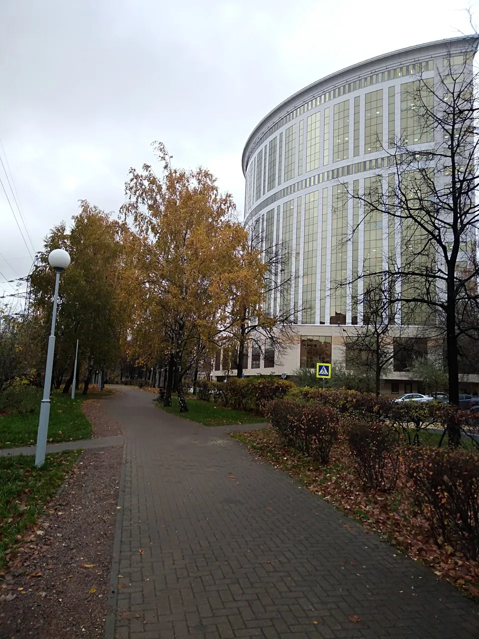 pic 9.jpg