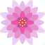 lotus.png