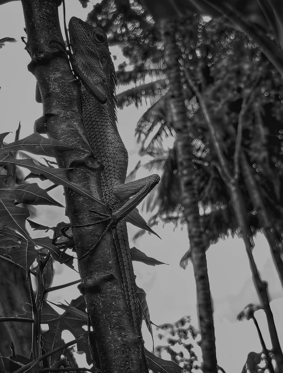 Photofeed Contest Round 149: Black and White Photography