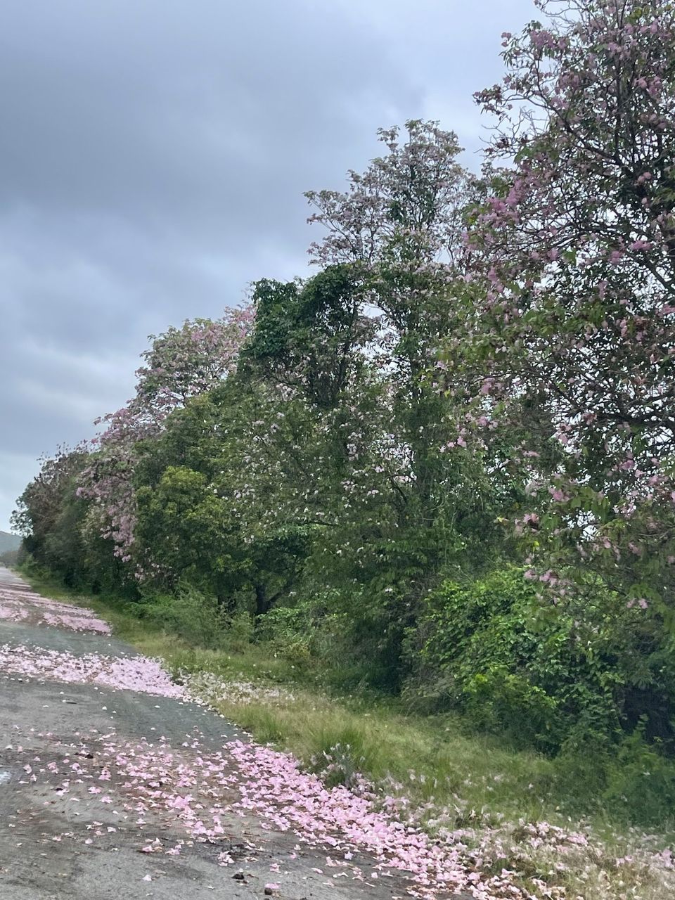 Photofeed Contest - Landscape Photography Round 168