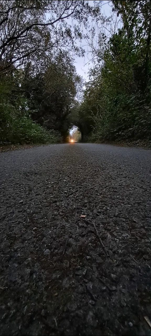 1000022686.jpg