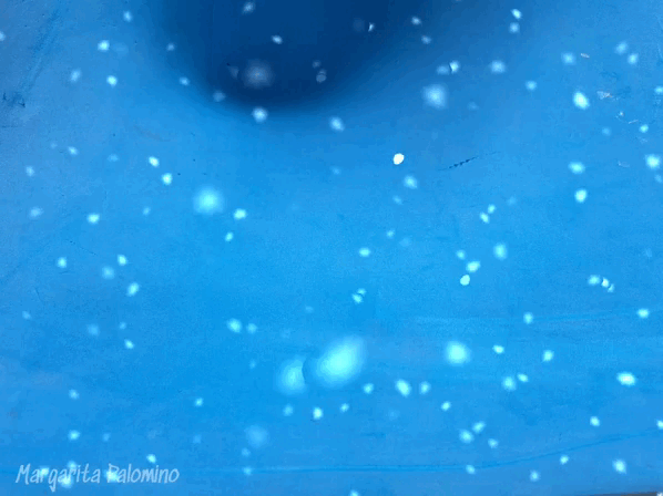 1000015651.gif