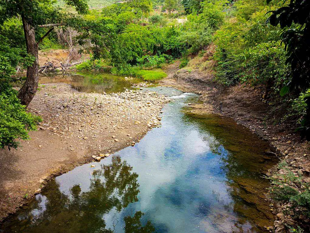 1000184521.jpg