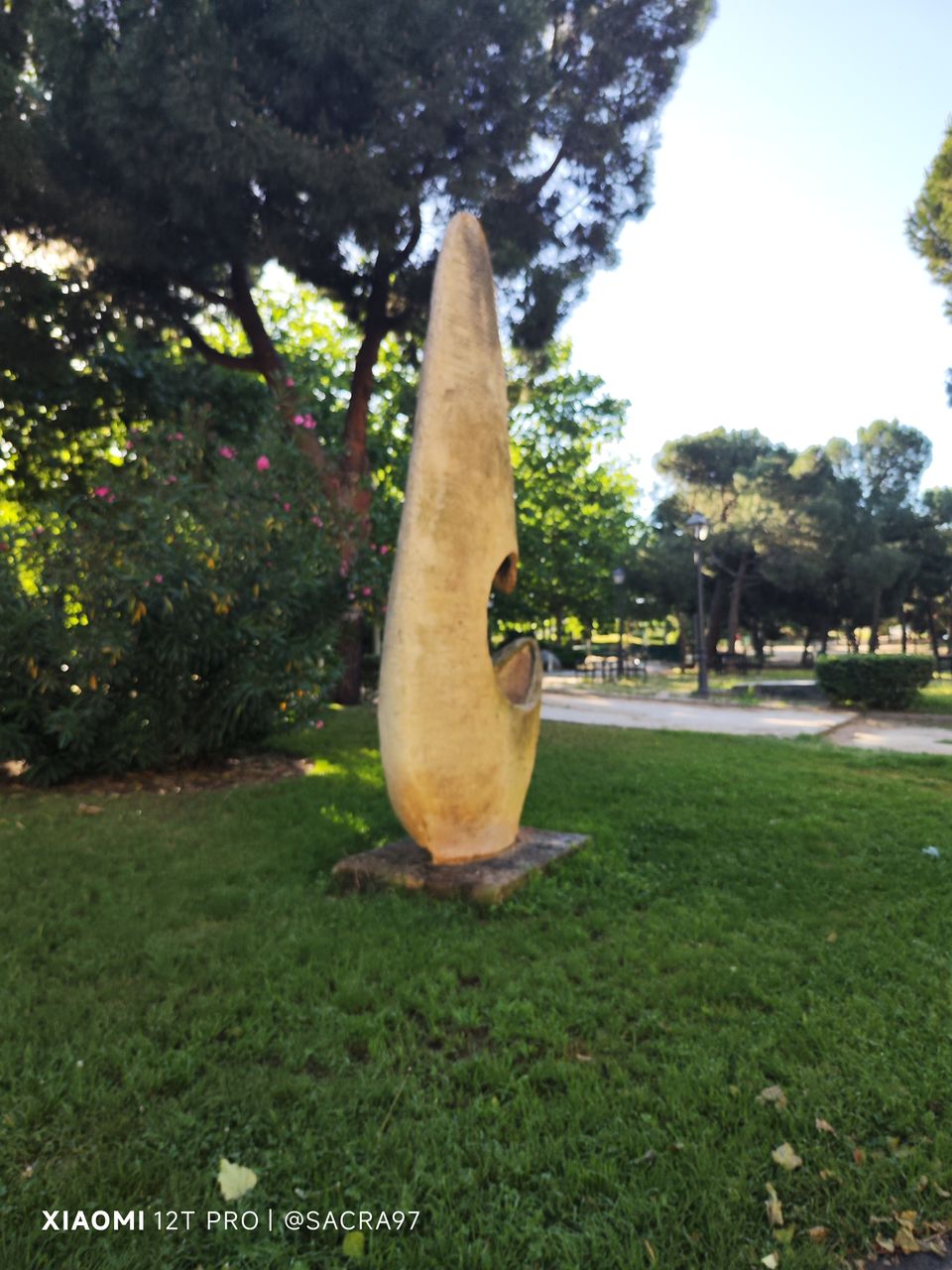 1000878161.jpg