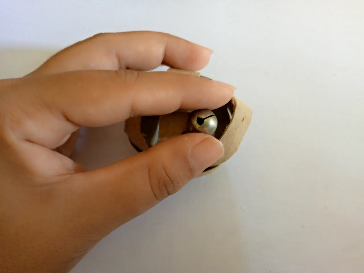 1000205574.jpg