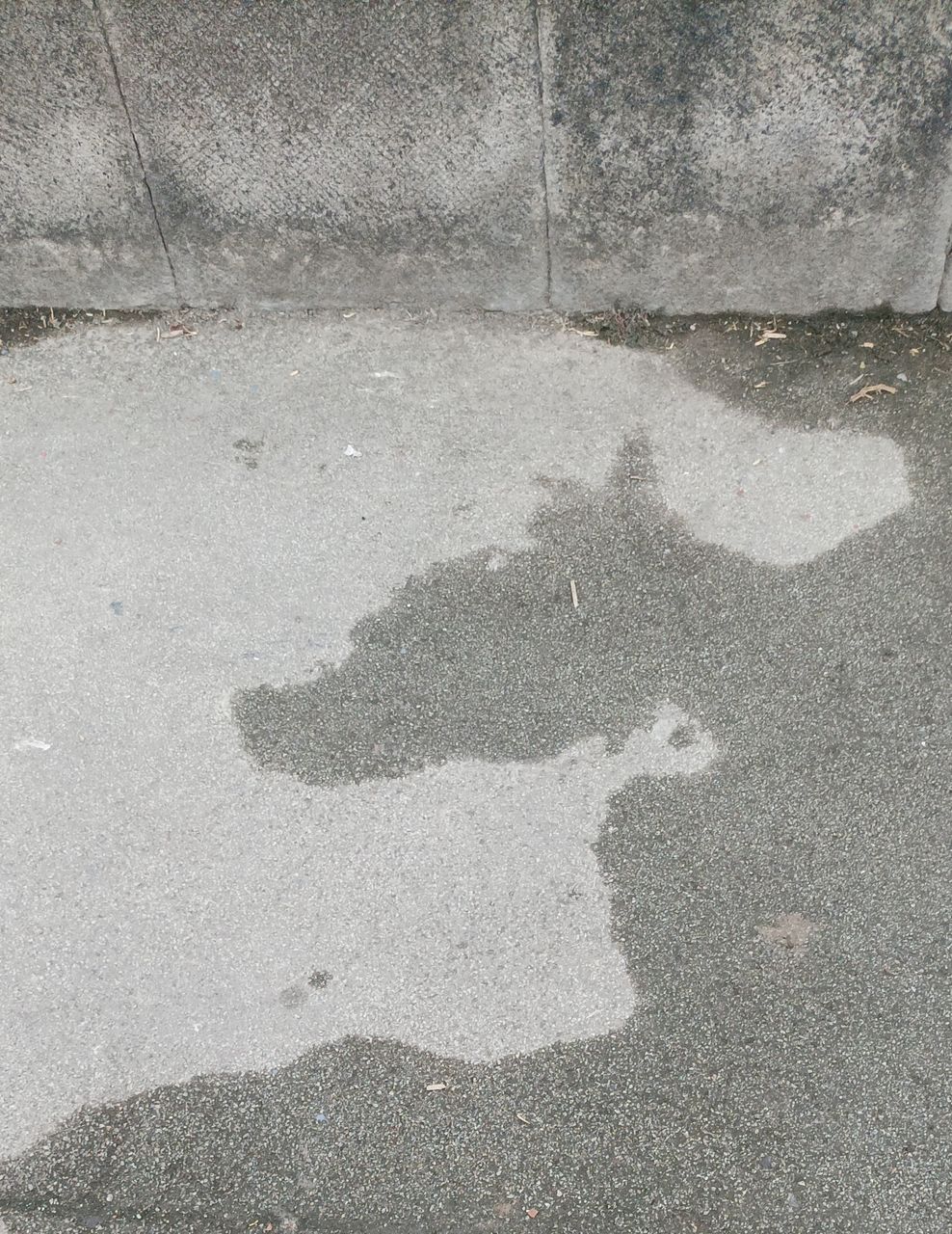 Sombras?