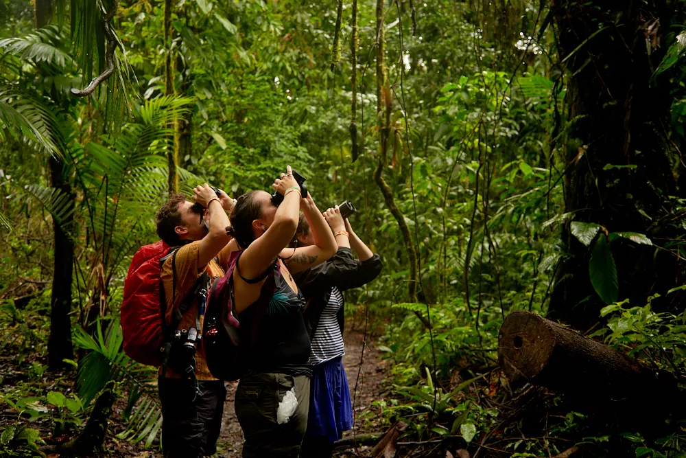 arenal 11.jpg