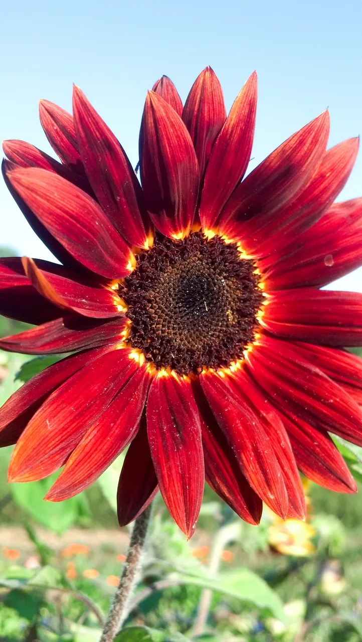 sunnnyday.jpg
