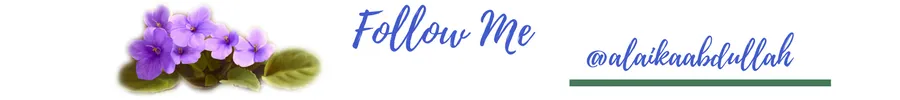 follow me.png