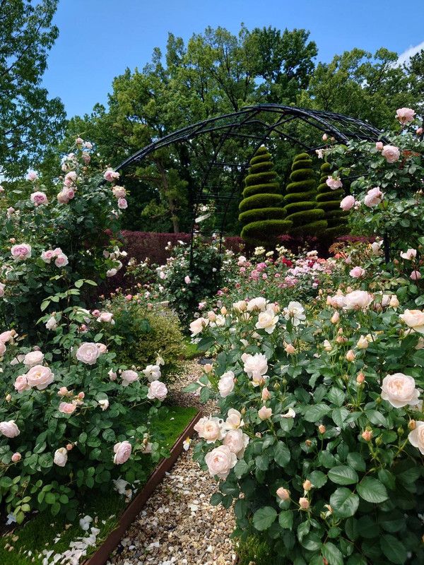 https://i.postimg.cc/1RHvY5TT/rose-garden5.jpg