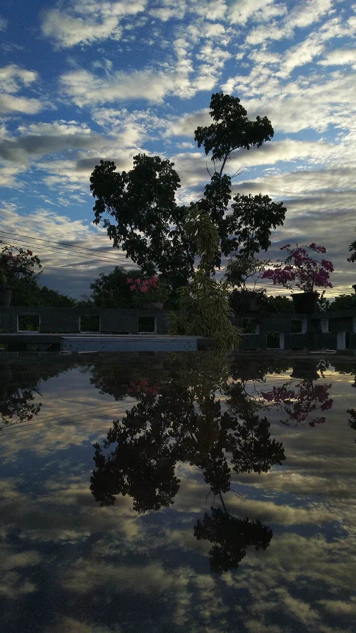 FJIMG_20210611_182033.jpg