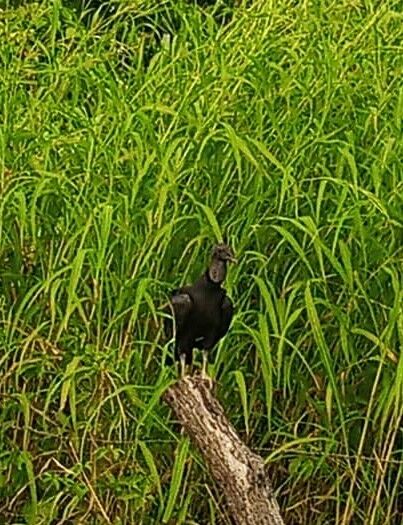 IMG-20210925-WA0019-1.jpg