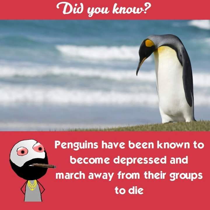 FB_IMG_1511761074123.jpg