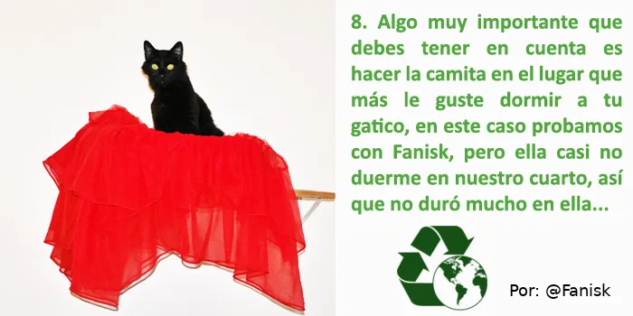 camita para gatos_09.png