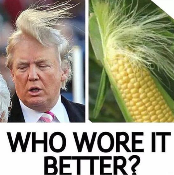 Donald-Trump-Jokes-1.jpg
