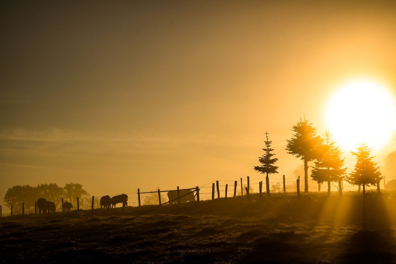 sunrise-2784380_1920.jpg